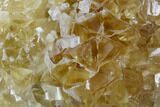 Lustrous Yellow Calcite Crystal Cluster - Fluorescent! #128934-1